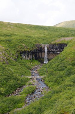 Svartifoss şelale çevrili tarafından karanlık lav sütunları, İzlanda