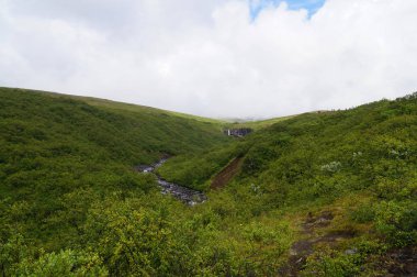 Svartifoss şelale çevrili tarafından karanlık lav sütunları, İzlanda