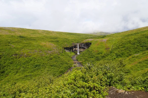 Cachoeira Svartifoss cercada por colunas de lava escura, Islândia — Fotografia de Stock