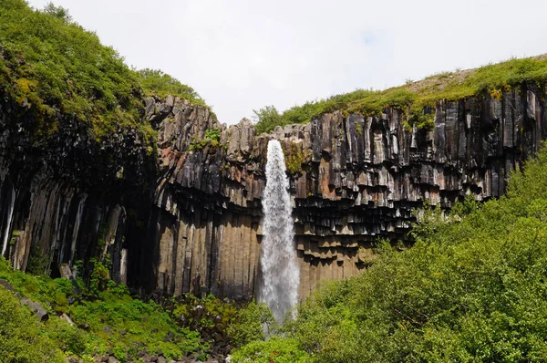 Wodospad Svartifoss, otoczony przez ciemne lawy kolumn, Islandia — Zdjęcie stockowe
