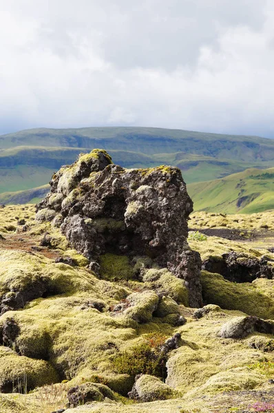 녹색 이끼, 아이슬란드로 덮여 용암 필드. — 스톡 사진