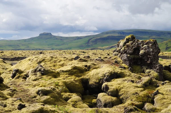 Lindo campo de lava coberto com musgo verde, Islândia . — Fotografia de Stock