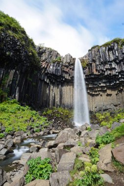 Svartifoss şelale çevrili tarafından karanlık lav sütunları, İzlanda