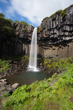 Svartifoss şelale çevrili tarafından karanlık lav sütunları, İzlanda