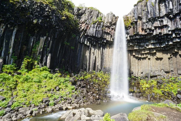 Cascada de Svartifoss rodeada de columnas de lava oscura, Islandia —  Fotos de Stock