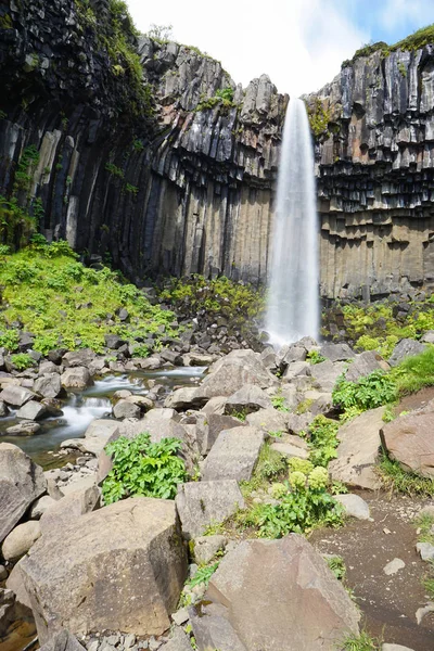 Svartifoss водоспад оточенні темно лави колони, Ісландія — стокове фото