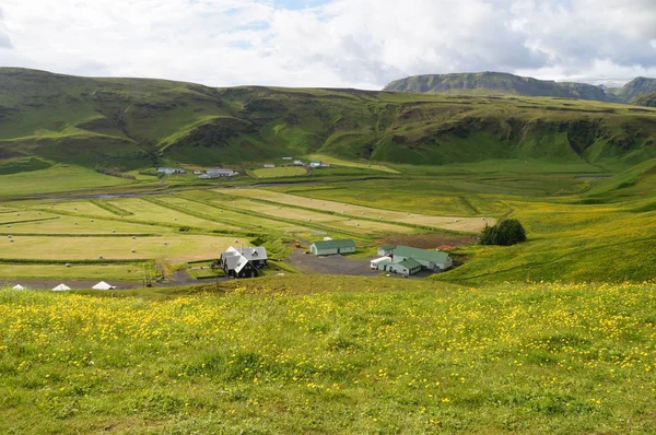 Bellissimo paesaggio in estate, Islanda — Foto Stock