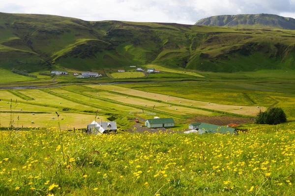 Bellissimo paesaggio in estate, Islanda — Foto Stock