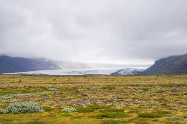 Morsarjokul yaz, İzlanda