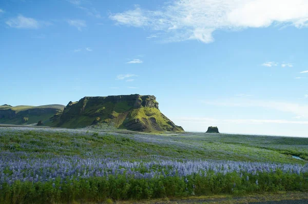 Beautiful mountain in summer, Iceland . — стоковое фото