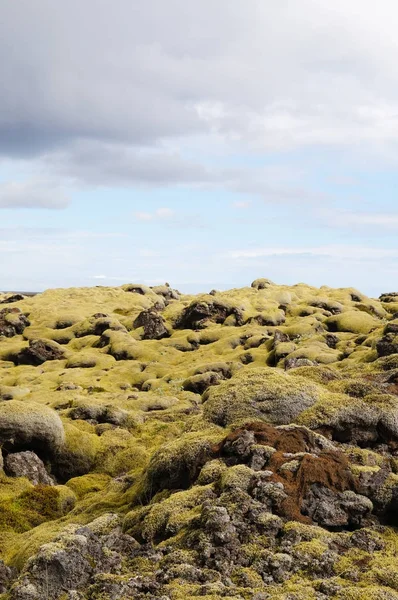 Лава поле, покритий зеленим мохом, Ісландія. — стокове фото
