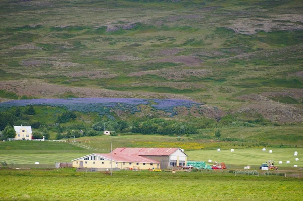 Prachtig uitzicht in de zomer, IJsland. — Stockfoto