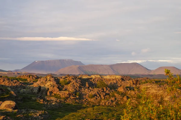 Parc naturel Hofdi en été, Islande . — Photo