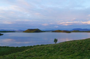 İzlanda'daki Myvatn gölde güzel manzara.