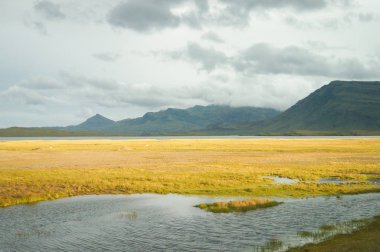 Güzel görünümü'nde yaz, İzlanda.