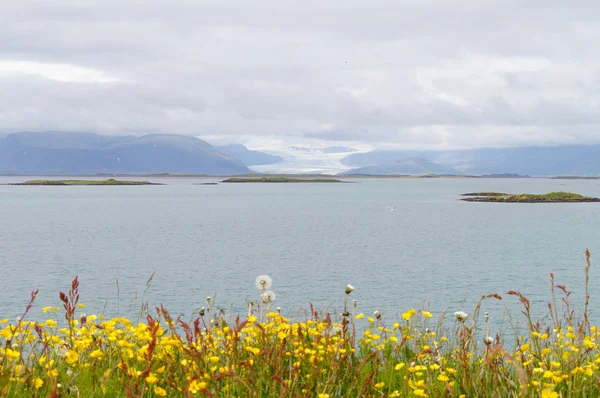 Beau Paysage Été Islande — Photo