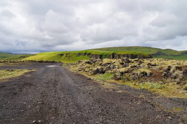 Campo de lava coberto com musgo verde, Islândia . — Fotografia de Stock