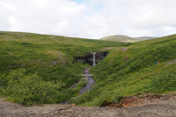 Svartifoss waterval omringd door donkere lava kolommen, IJsland — Stockfoto