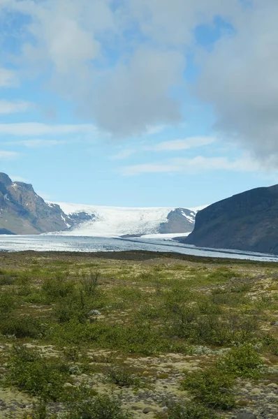 Beau glacier en été, Islande . — Photo