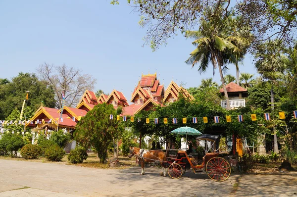 泰国南邦府的斯里兰卡荣曼和马马车. — 图库照片