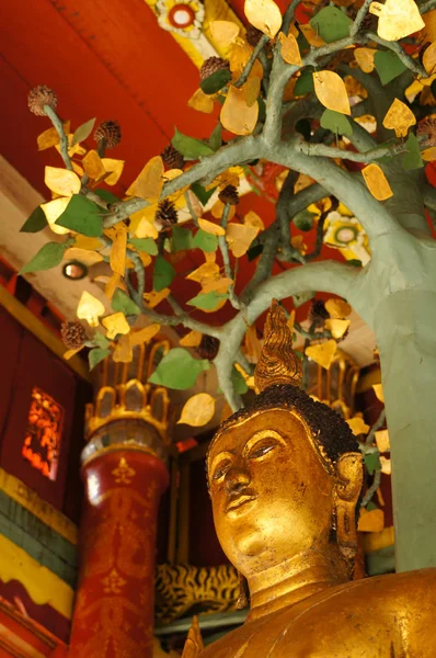 Статуя Будды в павильоне храма Ват Понг Санук, Таиланд . — стоковое фото