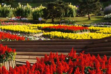 Güzel bahçe güneş ışığı altında Chiang Rai, Tayland.