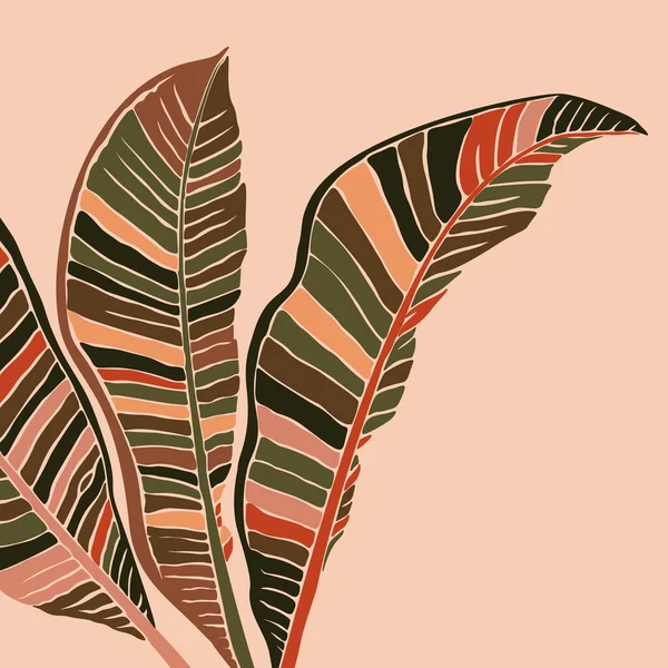 Tropische Bananenblätter in einem minimalistischen, trendigen Stil. Silhouette einer Pflanze in einem zeitgenössischen, einfachen Stil. Vektor — Stockvektor