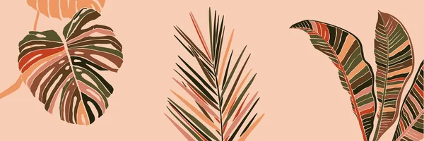 Tropische palmbladeren in een minimalistische trendy stijl. Silhouet van een plantenbanaan, monstera en ypsis — Stockvector