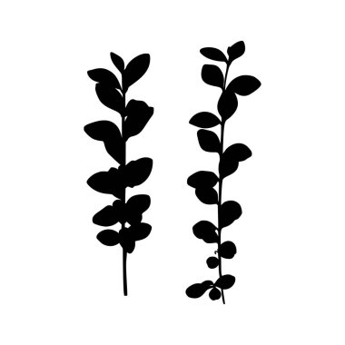 Beyaz arka planda izole edilmiş bir Bitki dalının siyah silueti. Vektör illüstrasyonu