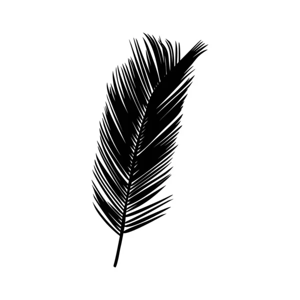 Palmiye yaprağı silueti. Siyah tropikal bitki beyaz arka planda izole edilmiş. Vektör illüstrasyonu — Stok Vektör