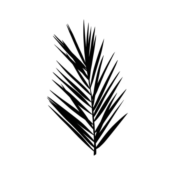 La silueta de la hoja de palma. Planta tropical negra aislada sobre fondo blanco. Ilustración vectorial — Archivo Imágenes Vectoriales