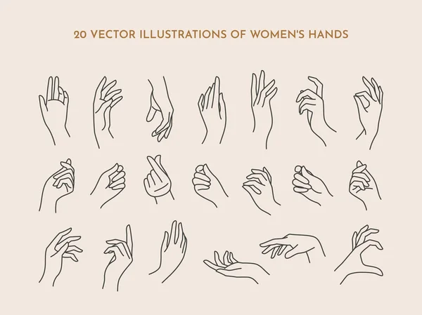 A set of icons women's hands in a trendy minimal linear style. Vector Illustration of female hands with various gestures