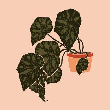 Minimalist bir modaya uygun begonia bowerae bitkisi. Çağdaş soyut tarzda bir bitkinin silueti. Vektör illüstrasyon kolajı. Tişört baskısı, kart, poster, sosyal medya paylaşımı için