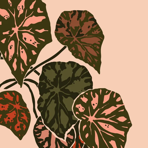 Begonia Bowerae Laisse Dans Style Minimaliste Tendance Silhouette Une Plante — Image vectorielle