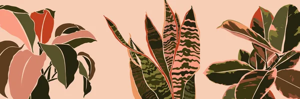 Roślina collage sztuki liście w minimalnym stylu. Sylwetka roślin sansevieria, Spathiphyllum i ficus. Wektor — Wektor stockowy