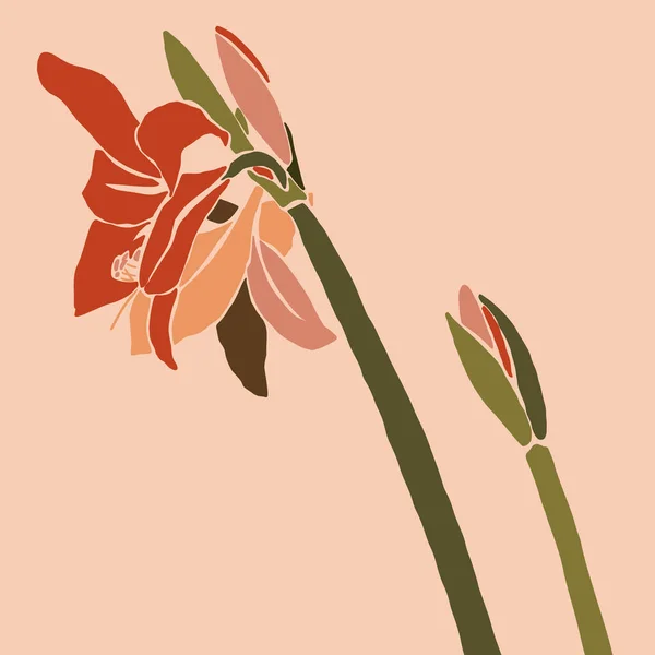 Amaryllis flor vermelha em um estilo moderno minimalista. Silhueta de uma fábrica em um estilo abstrato simples contemporâneo. Vetor — Vetor de Stock