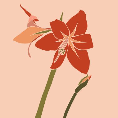 Amaryllis kırmızı çiçeği minimalist moda tarzında. Çağdaş, basit ve soyut bir bitkinin silueti. Vektör illüstrasyon kolajı. Tişört baskısı, kart, poster, sosyal medya paylaşımı için