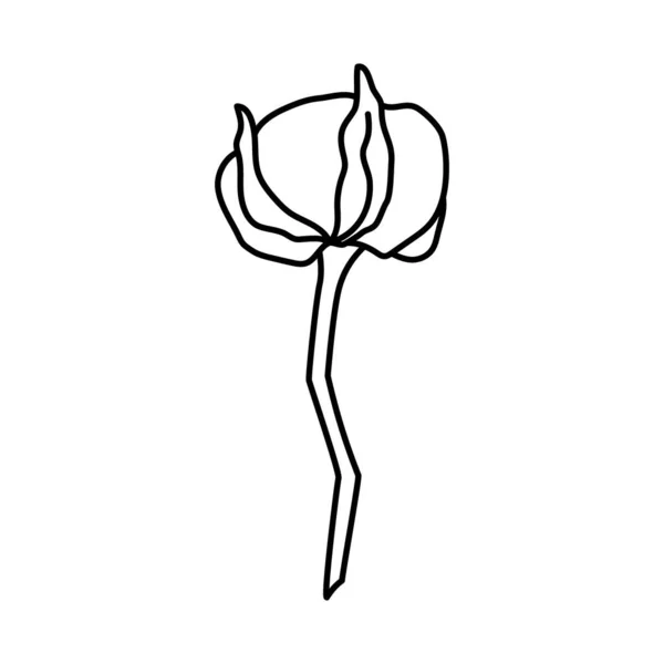 Katoen plantentak in trendy minimalistische stijl. Outline biologische katoenen bloem voor logo. Botanische vectorillustratie — Stockvector