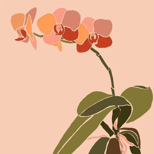 Sztuka collage orchidei kwiat w minimalnym modnym stylu. Sylwetka roślin storczyka na różowym tle. Wektor — Wektor stockowy