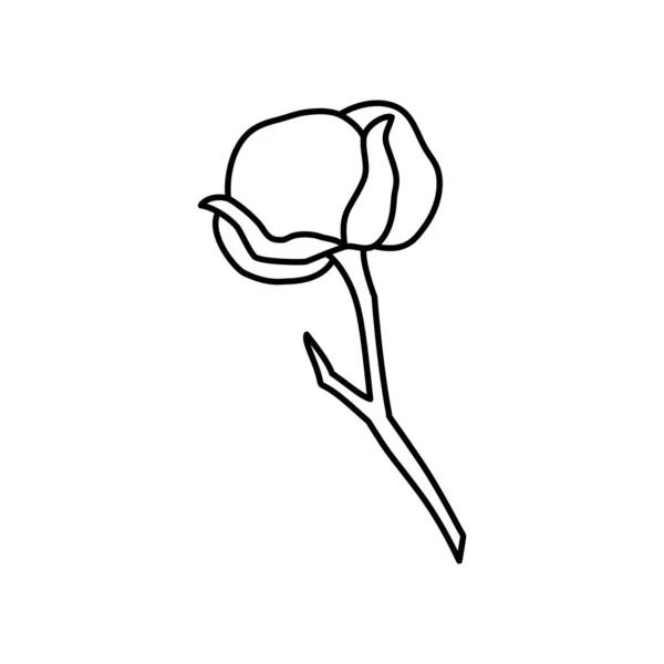 Katoen plantentak in trendy minimalistische stijl. Outline biologische katoenen bloem voor logo. Botanische vectorillustratie — Stockvector