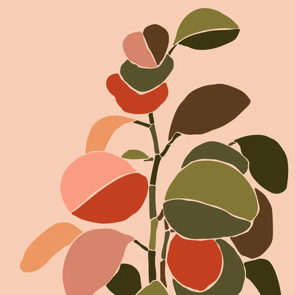 Colagem de arte houseplant peperomia em um estilo moderno mínimo. Silhueta de plantas em um fundo rosa . — Vetor de Stock