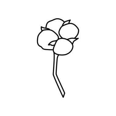 Moda tarzında pamuk fabrikası şubesi. Logo, davetiye, etiket, tekstil, posterler ve kartlar için özet organik pamuk çiçeği. Botanik yeşillik vektör çizimi