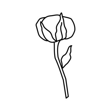 Moda tarzında pamuk fabrikası şubesi. Logo, davetiye, etiket, tekstil, posterler ve kartlar için özet organik pamuk çiçeği. Botanik yeşillik vektör çizimi