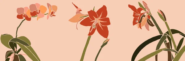 Roślina Collage Sztuki Liści Kwiatów Minimalnym Modnym Stylu Sylwetka Orchidei — Wektor stockowy