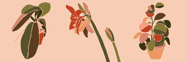 Arte collage hojas de plantas de interior y flores en un estilo minimalista de moda. Silueta de orquídea, amarilis, peperomia. Vector — Vector de stock