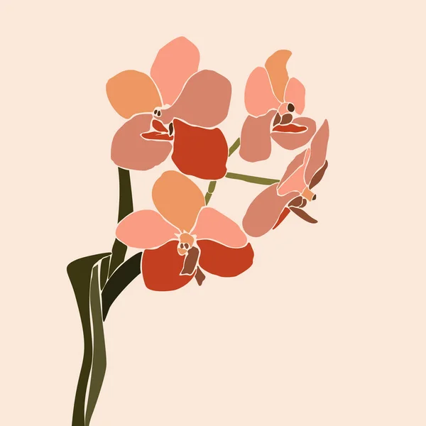Art collage orchidée fleur dans un style minimaliste à la mode. Silhouette de plantes d'orchidées dans un style abstrait simple contemporain — Image vectorielle