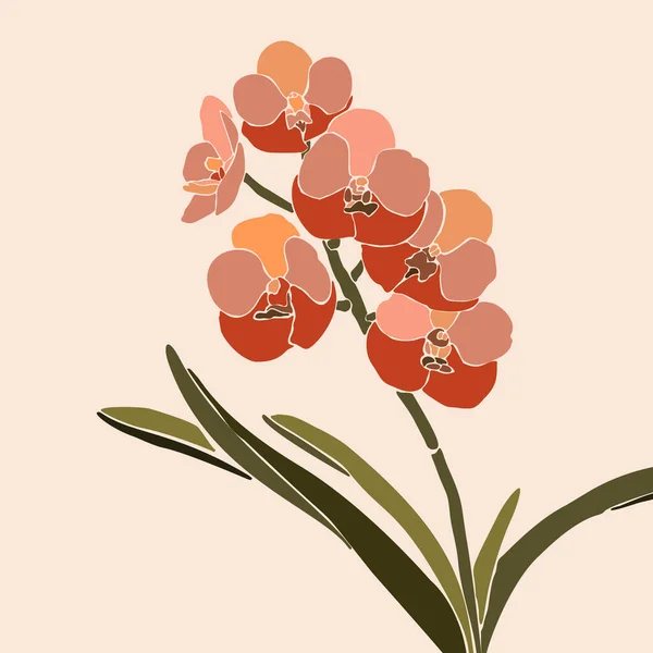 Sztuka Collage Orchidei Kwiat Minimalnym Modnym Stylu Sylwetka Roślin Storczykowych — Wektor stockowy