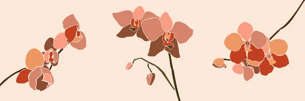 Art collage orchid flower in a minimal trendy style. Silhouette of orchid plants on a pink background. Vector — Stock Vector