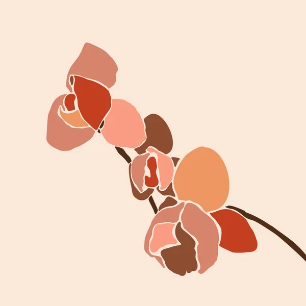 Flor de orquídea collage de arte en un estilo minimalista de moda. Silueta de plantas de orquídea sobre un fondo rosa. Vector — Vector de stock