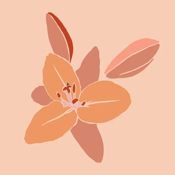 Arte collage flor de lirio en un estilo minimalista de moda. Silueta de plantas de lirio en un estilo abstracto. Ilustración vectorial — Vector de stock